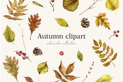 Autumn clipart, Watercolor leaves clipart, Fall Woodland Product Image 1