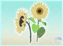 Sunflowers Svg Dxf Eps Png Pdf Files For Cricut Silhouette Product Image 3