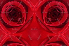 12 abstract Seamless colorful FLOWER patterns pack. Product Image 6
