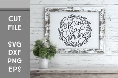 Spring has Sprung, Hand Lettered, Cut File Product Image 1