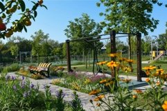 Serene public park with blooming flowers and bench Product Image 1