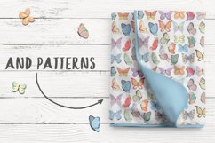 Butterflies  Product Image 4