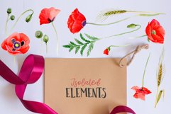 Magic Poppies red Watercolor png Product Image 6