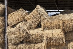 Heaped straw stacks Product Image 1