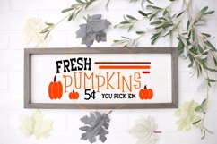 Fresh Fall Pumpkins SVG, Fall Pumpkin Sign, Pumpkins 5 Cents Product Image 1