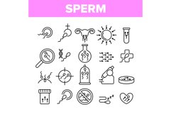 Sperm Cells Vector Thin Line Icons Set Product Image 1