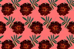 12 Seamless colorful FLOWER patterns bundle. Digital Paper Product Image 14