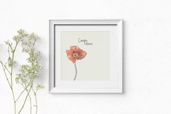 Watercolor poppy flower clipart | Watercolor floral clipart Product Image 2