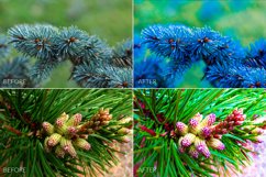Fir Branches Lr Presets Product Image 7