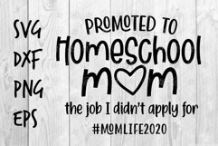 Promoted to Homeschool Mom SVG design Product Image 1