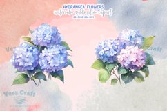 Hydrangea Flowers Watercolor Sublimation Clipart Product Image 10