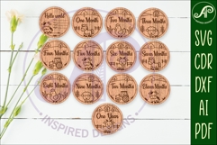 Cute farm animals themed Baby monthly milestone discs SVG Product Image 1