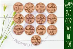 Cute farm animals themed Baby monthly milestone discs SVG Product Image 1