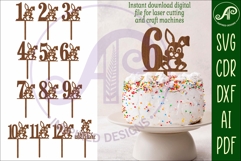 Bunny personalized number cake toppers, 13 designs SVG Product Image 1