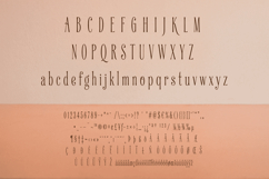 Silkgrove Font | Luxury | Elegant | Editorial Typeface Product Image 4