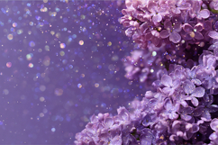Lilac Flower Cluster Purple Glitter Bokeh Background Product Image 1
