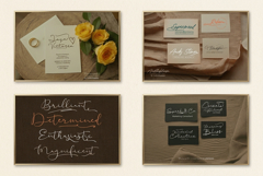 The Aesthetic Swash Box 12 Script Font Bundle Product Image 10