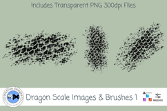 Dragon Scale Brushes and Images 1 Product Image 2
