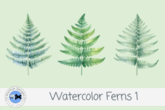 Watercolor Ferns Clipart PNG Set | Botanical Greenery Leaves Product Image 2