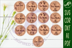 Baby monthly milestone discs SVG Bees theme Product Image 1