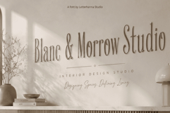 Silkgrove Font | Luxury | Elegant | Editorial Typeface Product Image 5