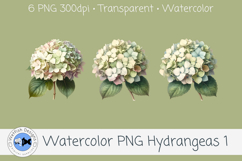 Watercolor Hydrangea PNG Clipart Set 1 Product Image 2