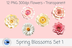 Spring PNG Blossoms 1 Product Image 2