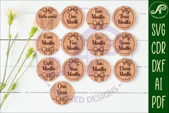 Bow Baby Milestone Discs, Girl Monthly Milestones Product Image 1