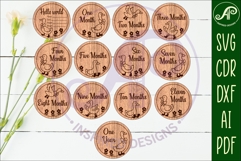 Goose themed Baby monthly milestone discs SVG laser engraved Product Image 1