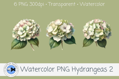 Watercolor Hydrangea PNG Clipart Set 2 Product Image 2