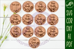 Sports balls themed Baby monthly milestone discs SVG laser Product Image 1