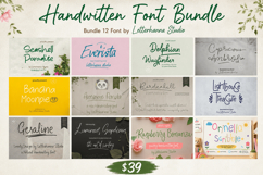 Handwritten Font Bundle - 12 Fonts Bundle Product Image 1