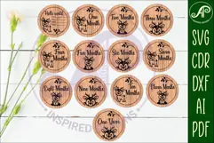 Baby monthly milestone discs SVG woodland deer theme Product Image 1