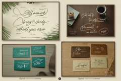 The Aesthetic Swash Box 12 Script Font Bundle Product Image 5
