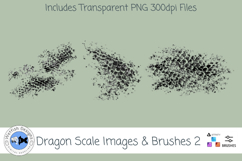 Dragon Scale Brushes and Images 2 Product Image 2