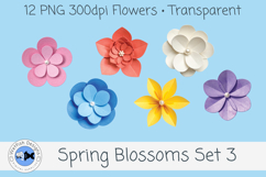 Spring PNG Blossoms 3 Product Image 2