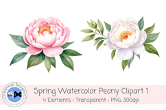 Watercolor PNG 300dpi Peony Flowers 1 Product Image 2