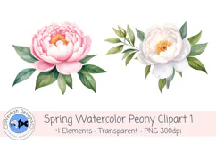 Watercolor PNG 300dpi Peony Flowers 1 Product Image 2