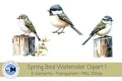 Spring Birds PNG Watercolor Clipart 1 Product Image 2