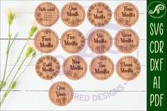 Baby Milestone Discs Daisy Floral, Monthly Baby photo props Product Image 1