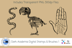 Dark Academia Stamps and Brushes 1 Product Image 2