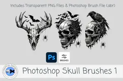Photoshop Skull Brushes 1 | Gothic Halloween PNG & ABR Brush Product Image 2