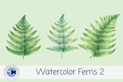 Watercolor Ferns Clipart PNG Set 2| Botanical Greenery Leave Product Image 2