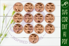 Safari animals themed Baby monthly milestone discs SVG laser Product Image 1