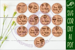 Hot Air Balloon themed Baby monthly milestone discs SVG Product Image 1