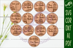 Train themed Baby monthly milestone discs SVG Product Image 1