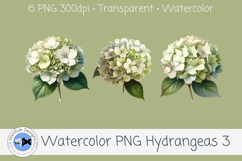 Watercolor Hydrangea PNG Clipart Set 3 Product Image 2