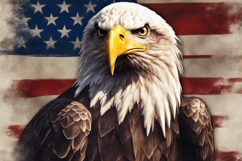 American Eagle Photo With USA Flag Product Image 1