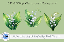 Watercolor Lily of the Valley PNG Clipart Floral Transparent Product Image 2