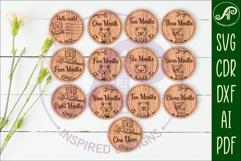 Woodland animals themed Baby monthly milestone discs SVG Product Image 1